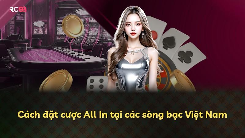 Cách đặt cược All In tại các sòng bạc Việt Nam