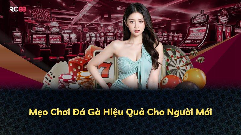 Mẹo Chơi Đá Gà Hiệu Quả Cho Người Mới