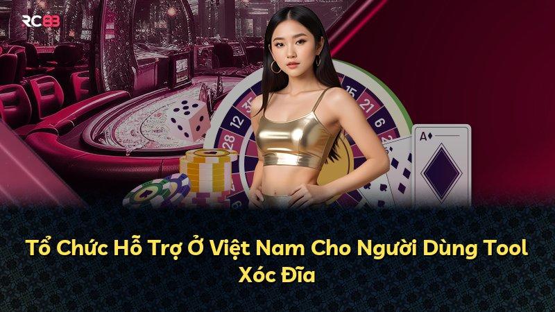 Tổ Chức Hỗ Trợ Ở Việt Nam Cho Người Dùng Tool Xóc Đĩa