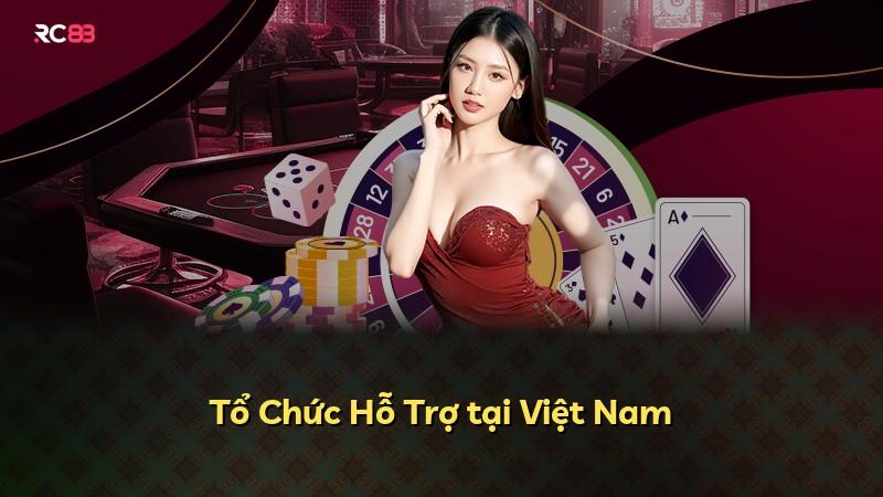 Tổ Chức Hỗ Trợ tại Việt Nam